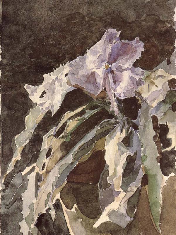 Mikhail Vrubel Orchid oil painting picture